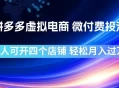 拼多多虚拟电商，微付费投流玩法，每人可开四个店，轻松月入过1W