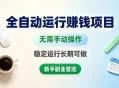 全自动运行賺钱项目，无需手动操作，稳定运行长期可做，新手副业首选