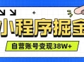 微信小程序掘金，团队自营小程序累计变现38W+，稳定运营三年，一部手机即可操作