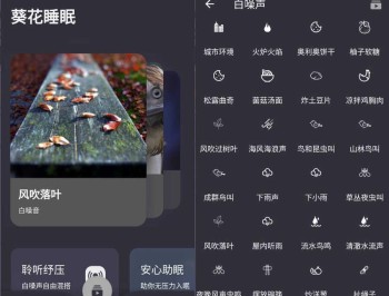 【APP下载】安卓葵花睡眠 v1.3.4绿色版