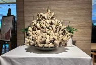 消费降级有多厉害