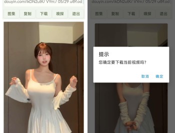 【APP下载】视图嗅探（视频图片去水印下载）