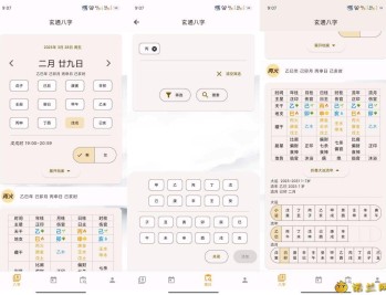 【APP下载】问真八字2.1.9周易命理易学专业八字排盘宝
