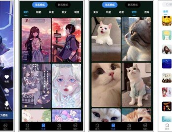 【APP下载】全民免费壁纸_5.0.9会员版，百万高清壁纸