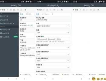 【APP下载】AriaNgGUI 1.3.1网盘不限速下载工具
