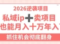 2026逆袭项目-卖项目+私域ip，小白也能月入十万年入百万，抓住机会彻底翻身！