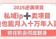 2026逆袭项目-卖项目+私域ip，小白也能月入十万年入百万，抓住机会彻底翻身！