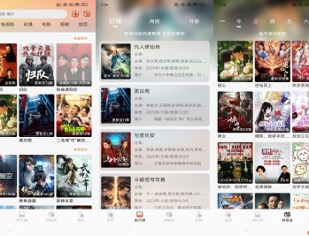【APP下载】安卓布雷4K v3.5.1去广告解锁会员精简版