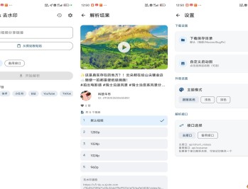 【APP下载】安卓BugPk聚合解析去水印