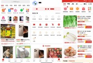 【APP下载】拼多多内部极简版（仅3M大小）