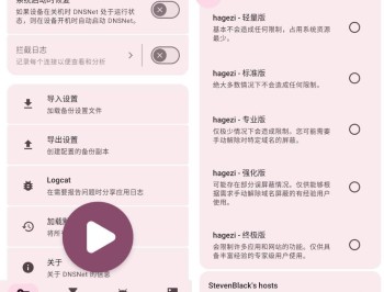 【APP下载】DNSNet广告拦截v1.3.15