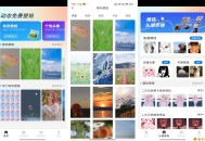 【APP下载】安卓动态免费壁纸 解锁VIP功能