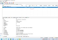 【软件展示】BitComet(比特彗星) v2.16 解锁全功能豪华版