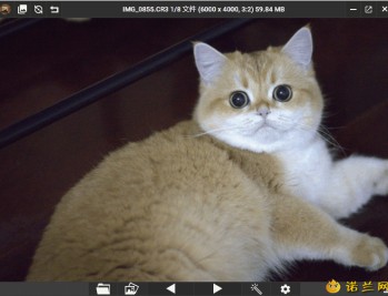 【APP下载】PicView看图工具v3.1.5中文版