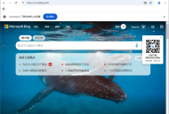 【软件展示】Ungoogled-Chromium v136.0.7103.92-1.1 中文绿色版