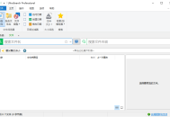 【软件展示】UltraSearch(文件搜索神器) Pro v4.8.0.1178 多语便携版