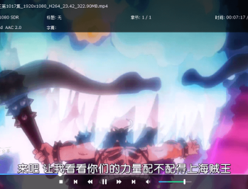 【APP下载】DVDFab Player v7.0.5.3中文版
