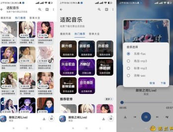 【APP下载】适配音乐最新4.0.0支持无损下载音乐资源全