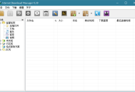 【软件展示】IDM中文版下载利器全球下载最快v6.42.32