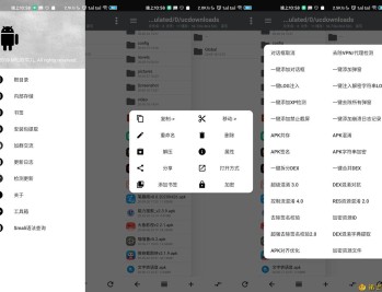 【APP下载】安卓N.P管理器v3.1.46清爽版堪称付费版MT管理器