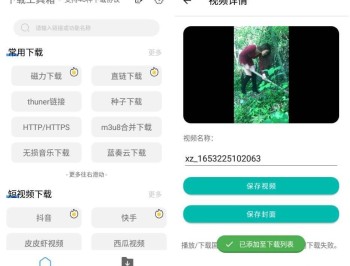 【APP下载】安卓下载工具箱v4.1.1解锁高级会员版/解析嗅探下载神器