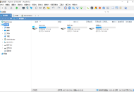 【软件展示】XYplorer(多标签文件管理器) v27.10.0700 多语便携版