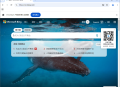 【软件展示】Ungoogled-Chromium v146.0.7680.153-1.1 中文绿色版