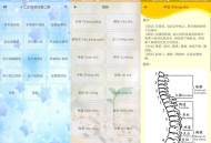 【APP下载】安卓人体穴位图解v3.1.8可离线版 【APP下载】安卓人体穴位图解v3.1.8可离线版