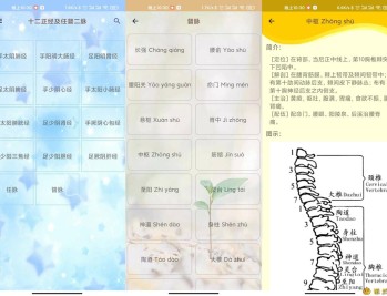 【APP下载】安卓人体穴位图解v3.1.8可离线版
