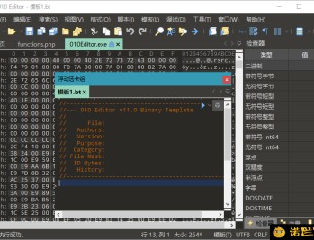 【APP下载】十六进制编辑器010 Editor v16.02汉化绿色版
