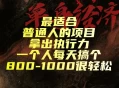 最适合普通人的项目，拿出执行力一个人每天搞个800-1k很轻松