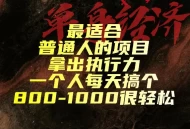 最适合普通人的项目，拿出执行力一个人每天搞个800-1k很轻松