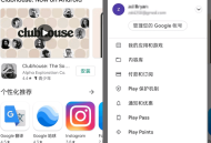 【软件展示】谷歌商店客户端 Google Play Store v45.9.19